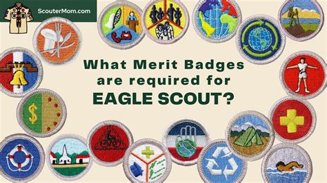 How many meals do you need to cook for the cooking merit badge?